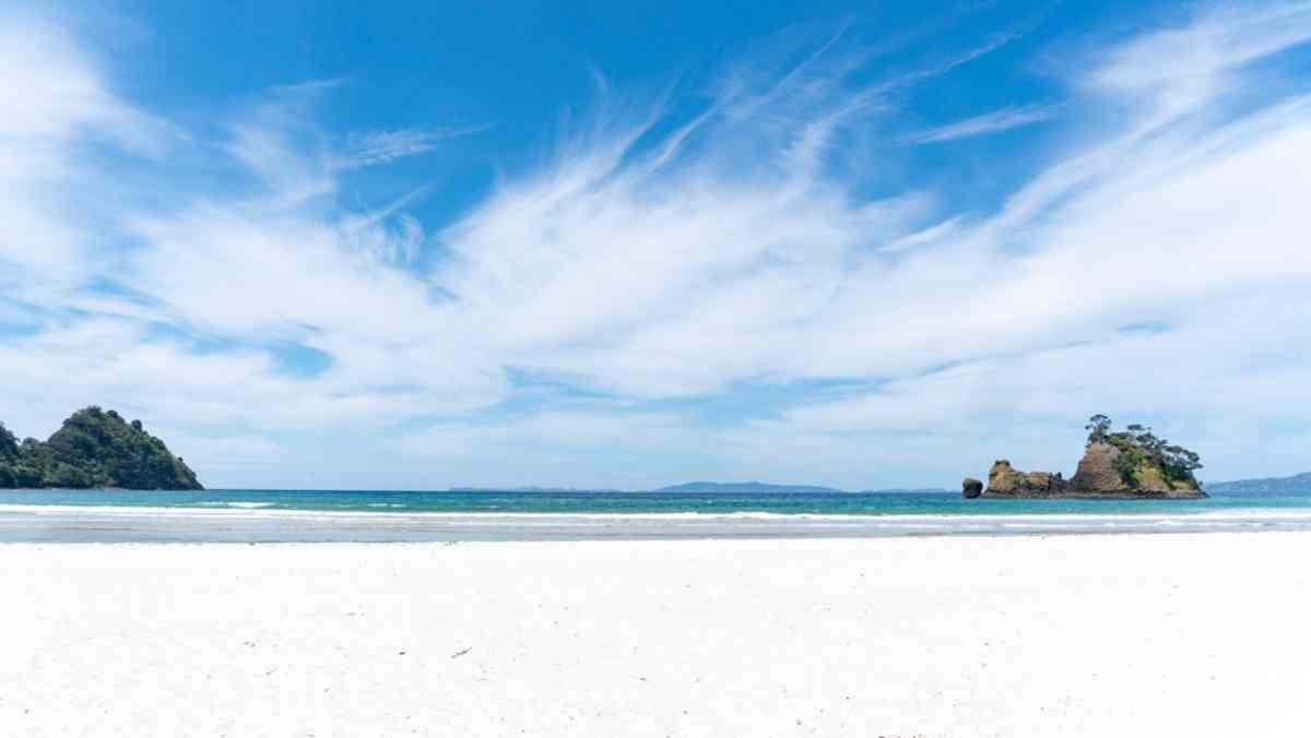 Oceanic/temperate zone NZ