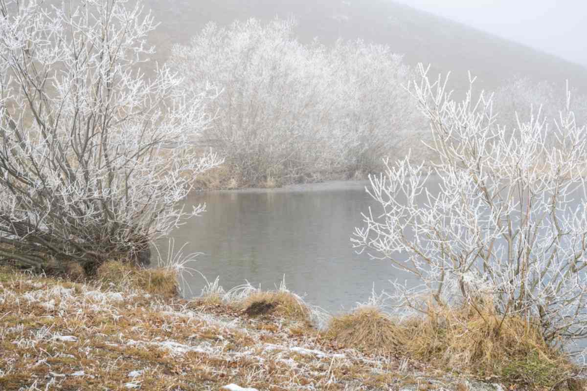 Winter in New Zealand