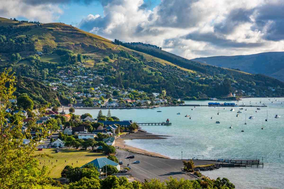 Whale Watching in New Zealand