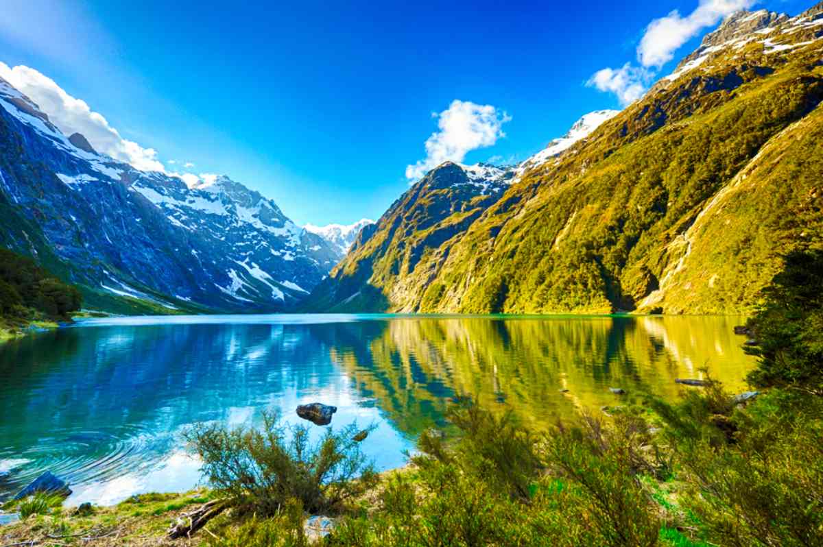 New Zealand Honeymoon