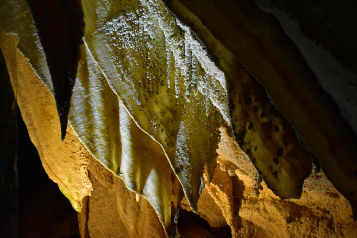 aranui cave