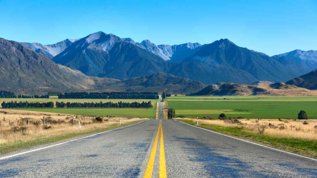 NZ Road Trip