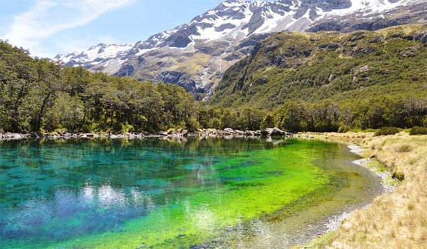 Blue Lake, sacred site for Maori Culture