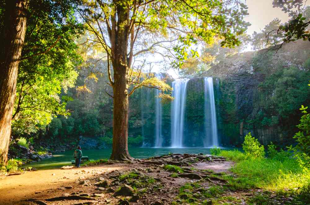 Whangarei Falls