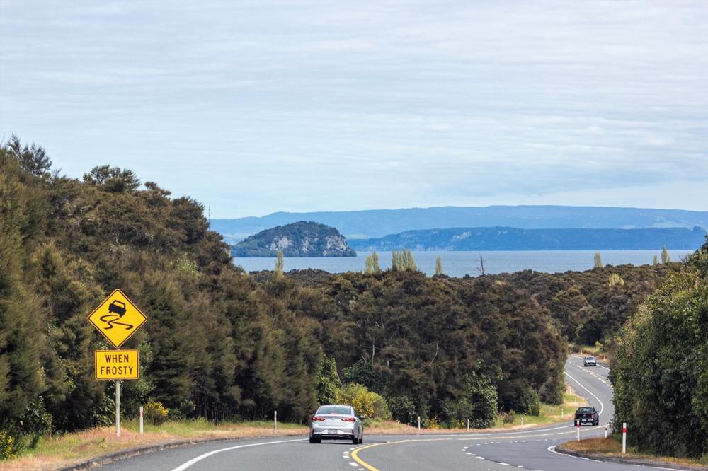 Auckland to Wellington Road Trip