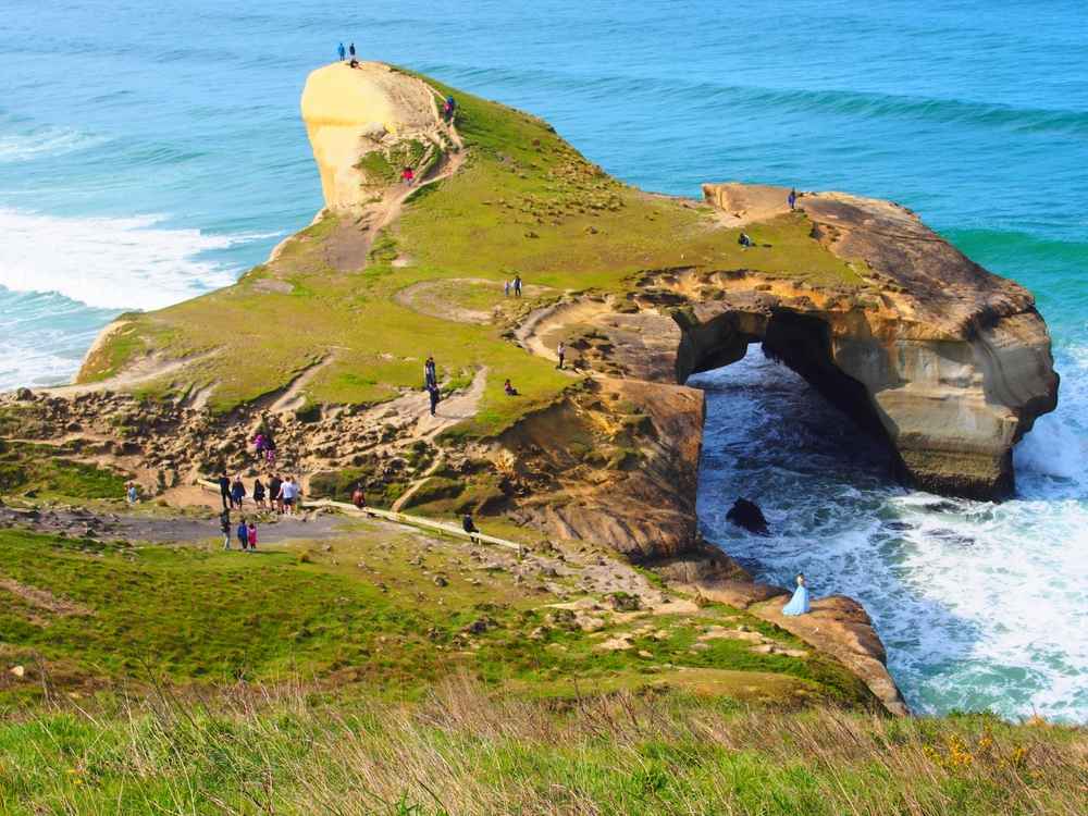 Taiaroa Head