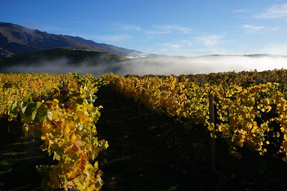 Wine Tasting in Cromwell