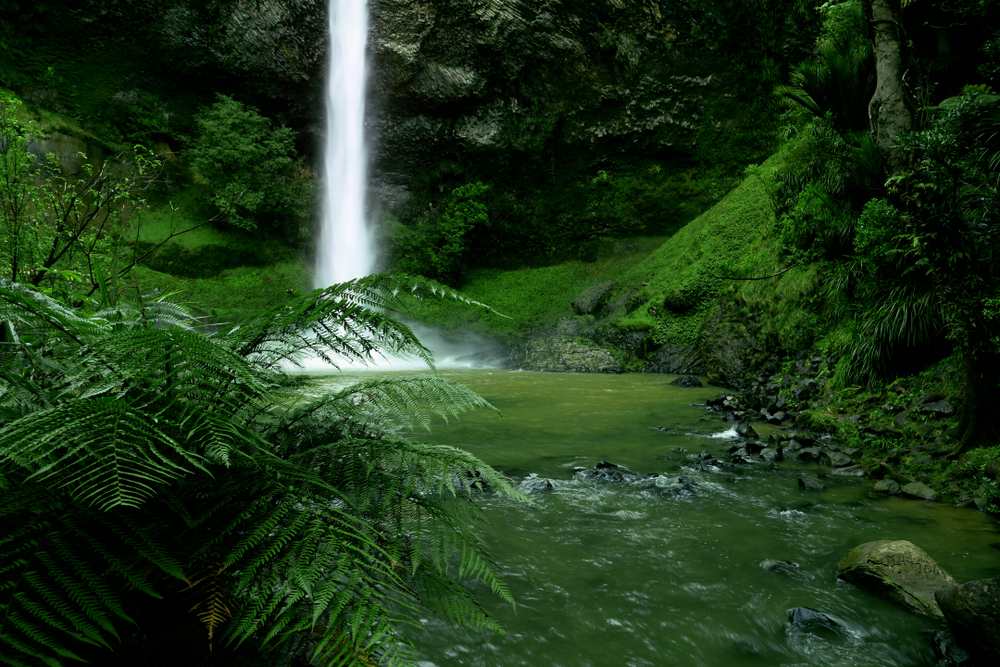 Bridal Veil Falls in New Zealand