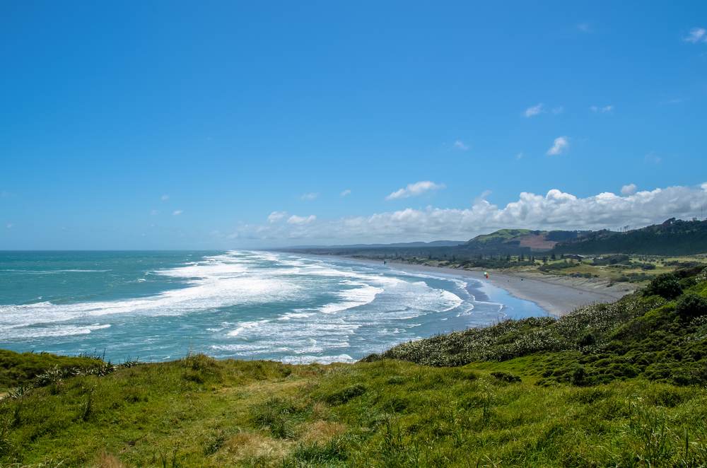 Things to do in Muriwai