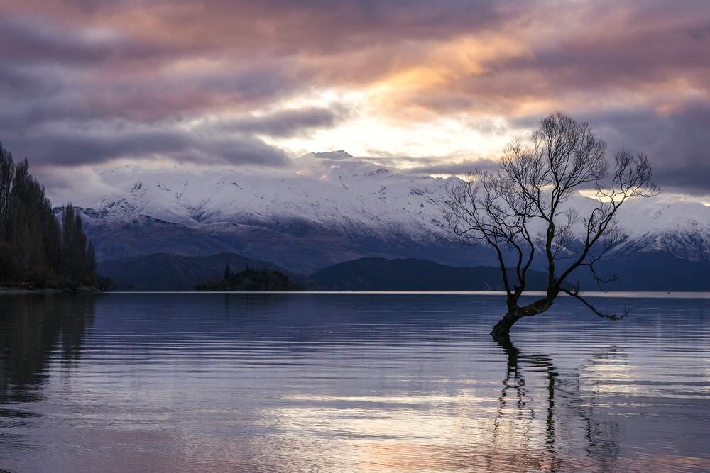 View of the Southern Alps in New Zealand