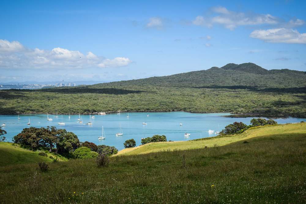 Motutapu Island