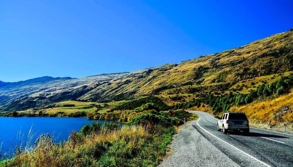 Summer in New Zealand Summer in New Zealand