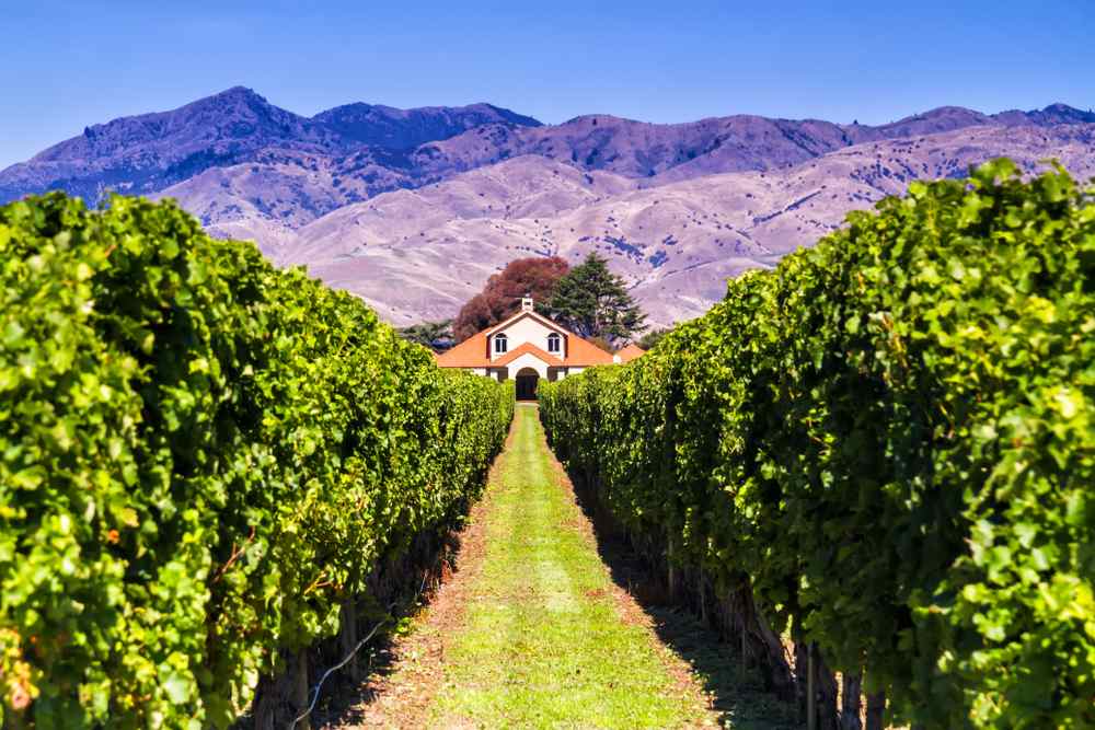 Wineries in Central Otago