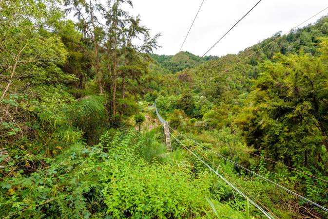 Ziplining NZ Ziplining NZ