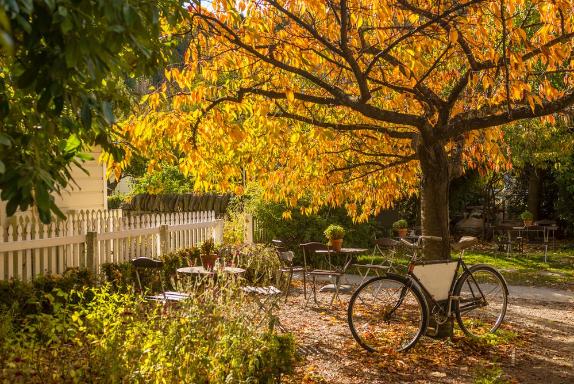 Weather in Arrowtown in Autumn
