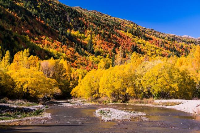 Arrowtown in the fall