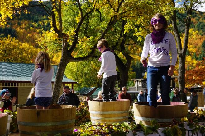 Wine in Central Otago