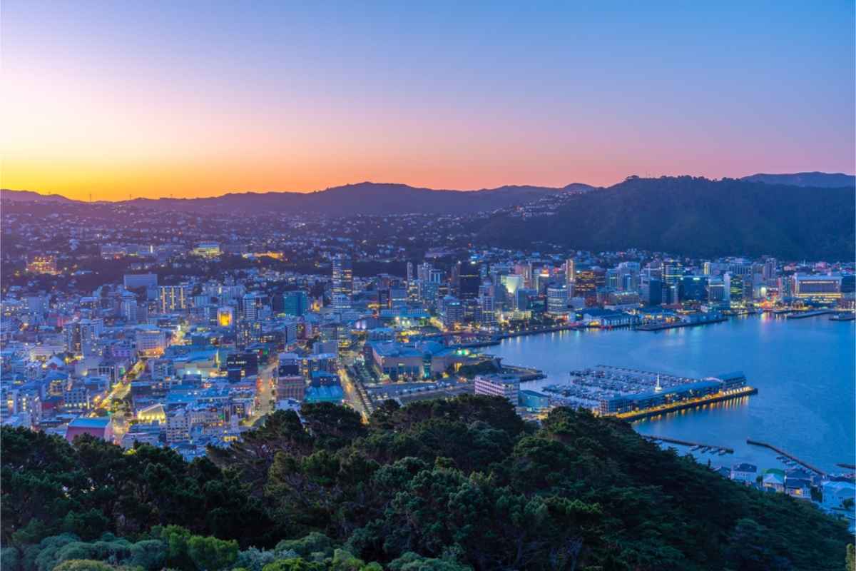 Panoramic views of Wellington at dusk