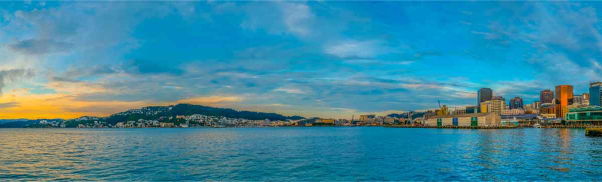 Panoramic views of Wellington skyline