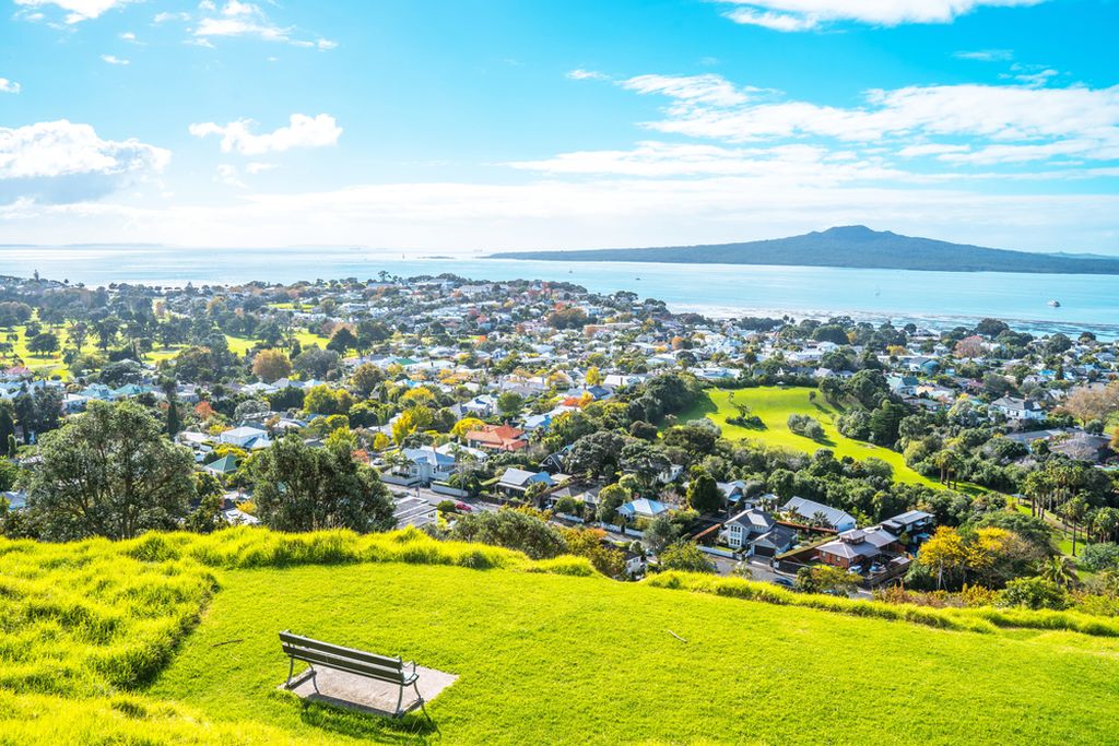 Discover Wellington's Best Walks