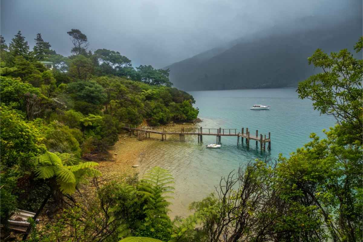 foggy day at the coast of Marlborough sounds