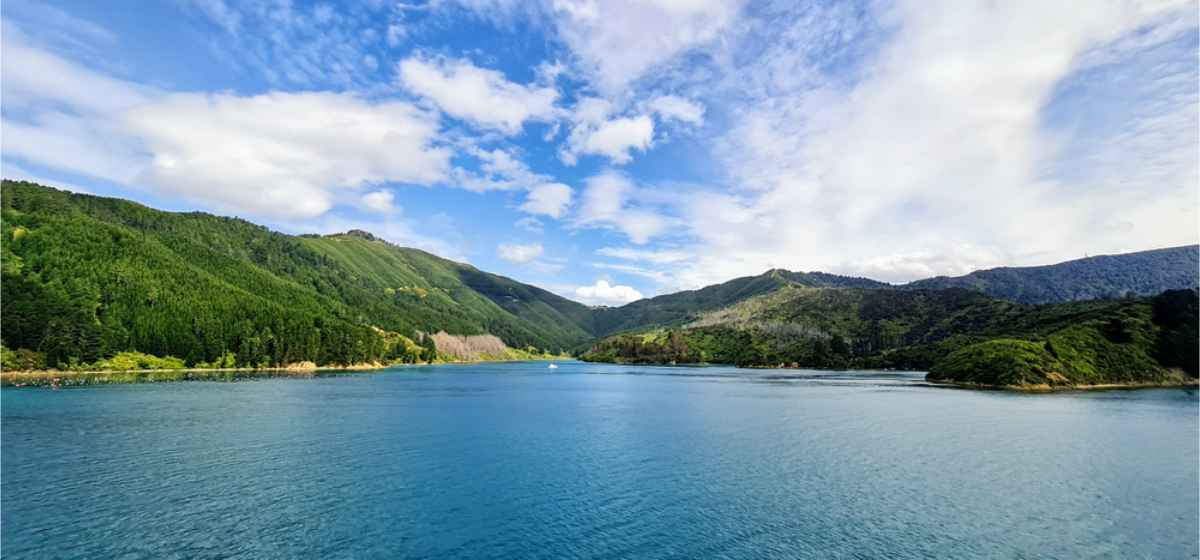 Lochmara at Marlborough sounsd, NZ on a sunny day