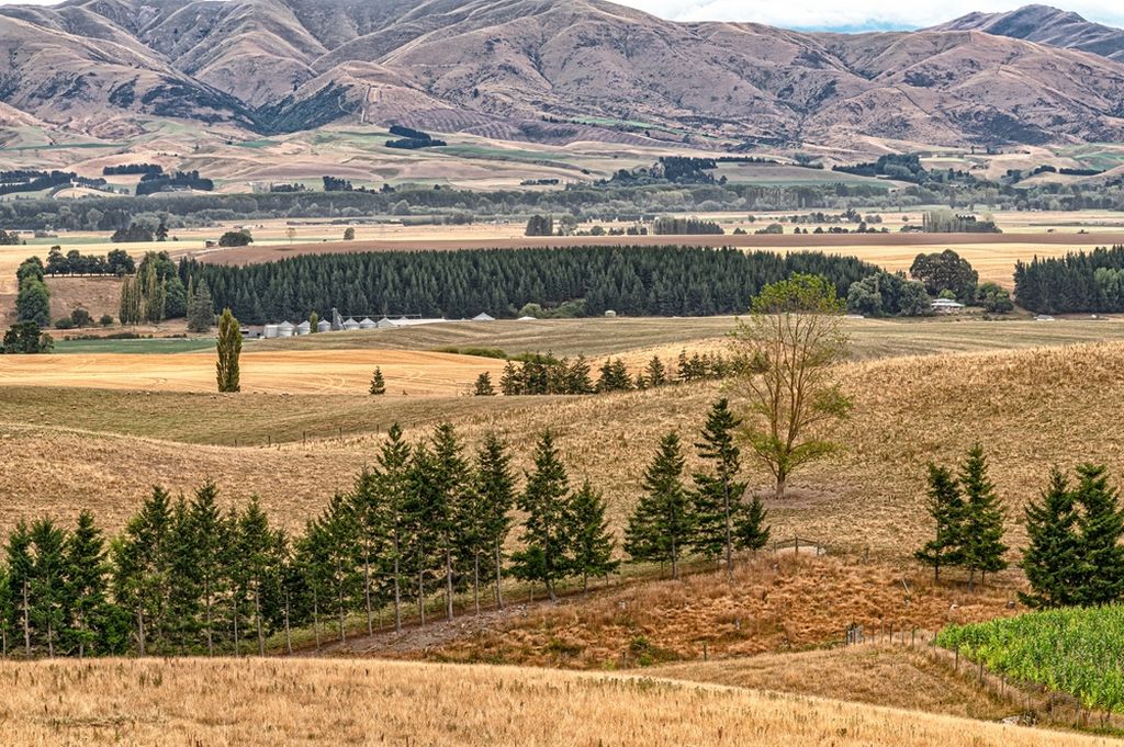 Things to do in Geraldine