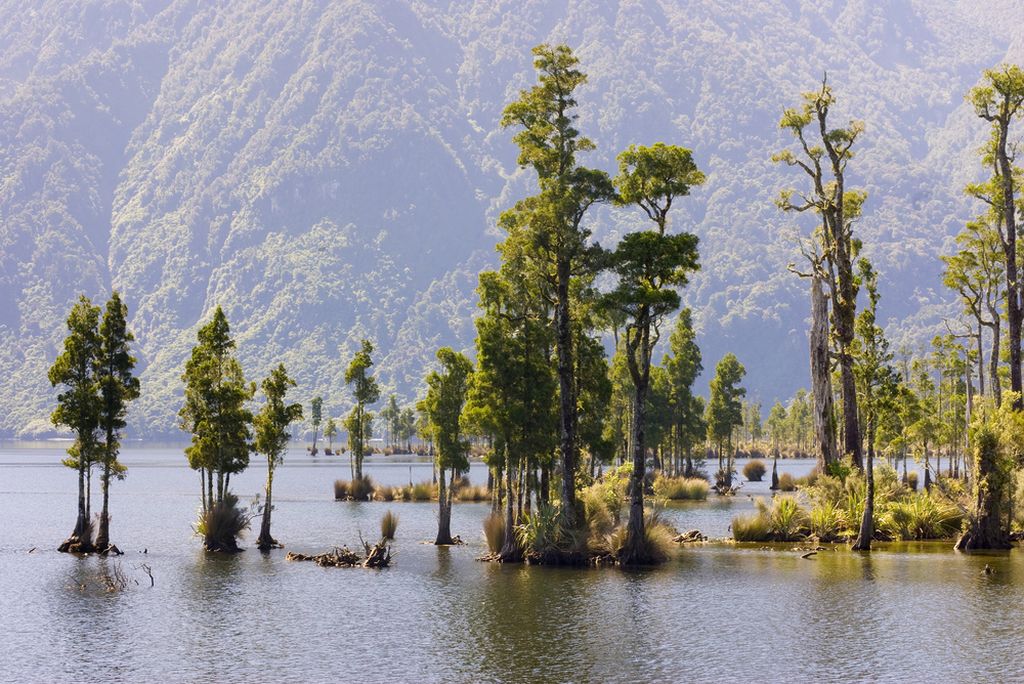 Lake Brunner