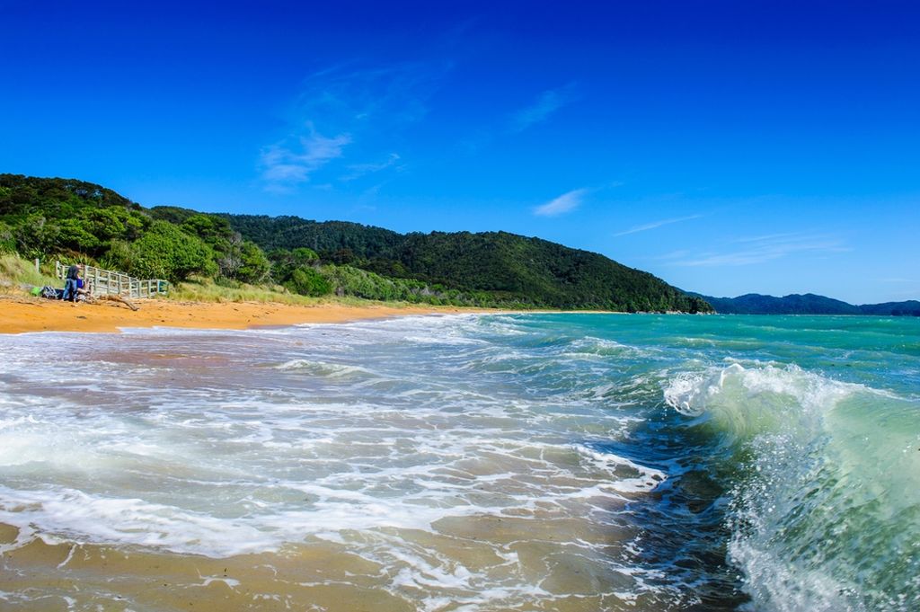 Beach in Abel Tasman National Park