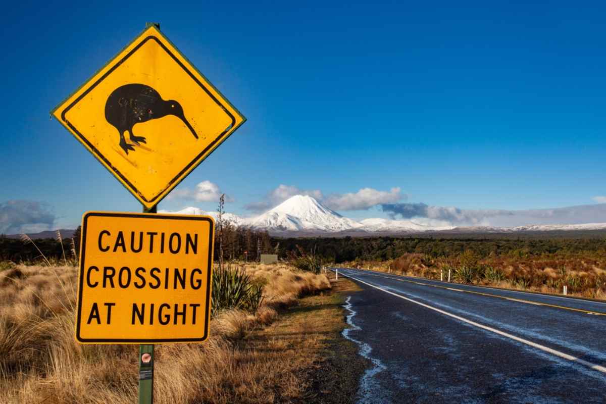 Yellow warning road sign with a kiwi 