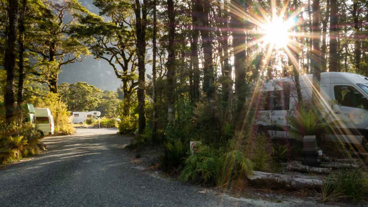 Several campers parked at a DOC campsite in New Zealand