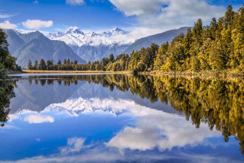 Mirror-still lake reflecting snowy Southern Alps and forest near Fox Glacier on New Zealand’s West Coast, with blue sky and dramatic mountain scenery.