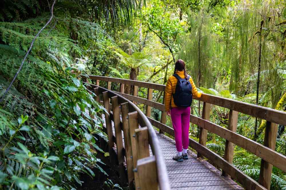 Hiker on a wooden boardwalk in lush West Coast rainforest near Hokitika Gorge, surrounded by ferns, moss, and dense green native bush.